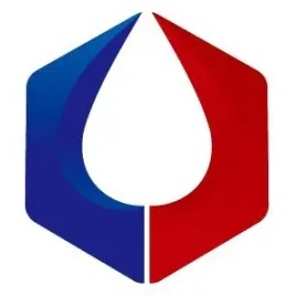 Snowsky Logo